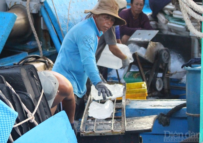 Các tàu đánh cá neo đậu tại âu tàu Trường Sa để tiếp tế nguyên, nhiên vật liệu