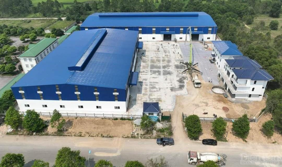 Công ty CP Vilaconic đang hoàn thiện dự án nhà kho logistics tại Cửa Lò - 1 cột mốc quan trọng trong chiến lược mở rộng quy mô của công ty