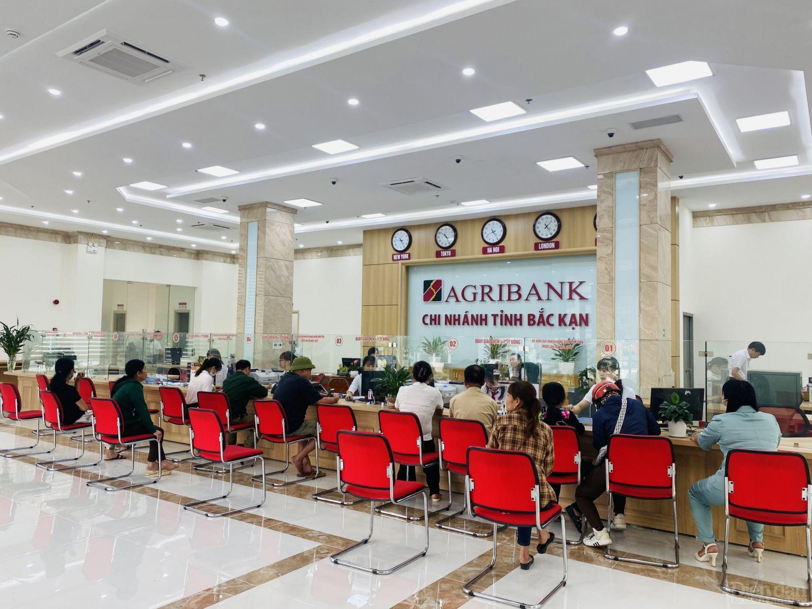 Khách hàng giao dịch tại Trụ sở mới Agribank Chi nhánh tỉnh Bắc Kạn