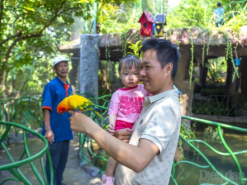 Các doanh nghiệp du lịch tại Đà Nẵng tập trung tung ưu đãi, xây dựng sản phẩm mới để chung tay kích cầu.