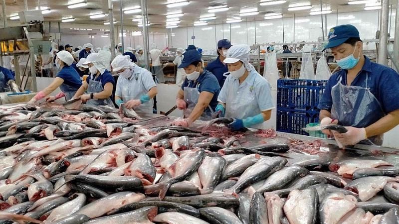 kim ngạch xuất khẩu thuỷ sản tháng 5 ước đạt 870 triệu USD, tăng hơn 7% so với cùng kỳ năm ngoái. 