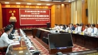 Doanh nghiệp Nhật Bản mong muốn đầu tư dự án điện gió ngoài khơi và KCN xanh tại Thái Bình