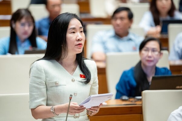 đại biểu Đại biểu Đoàn Thị Thanh Mai, Đoàn đại biểu quốc hội tỉnh Hưng Yên