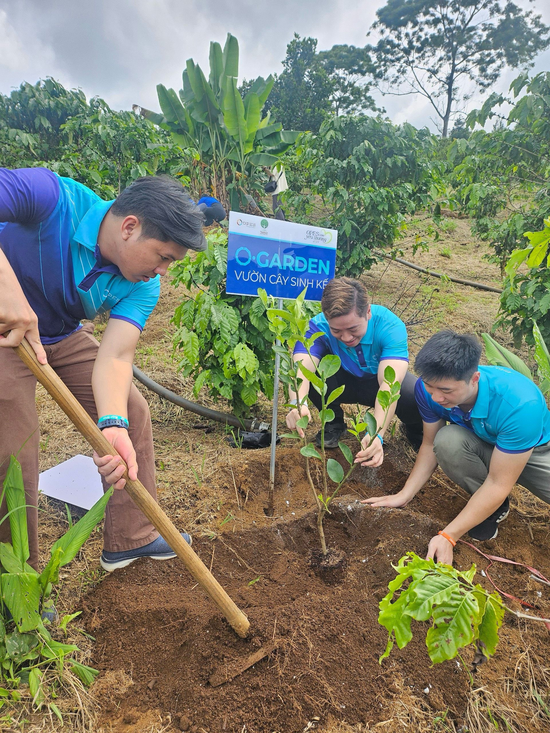  Vườn cây O.Garden đầu tiên do OPES tài trợ tại Lâm Đồng, góp phần kiến tạo một tương lai bền vững cho người dân địa phương