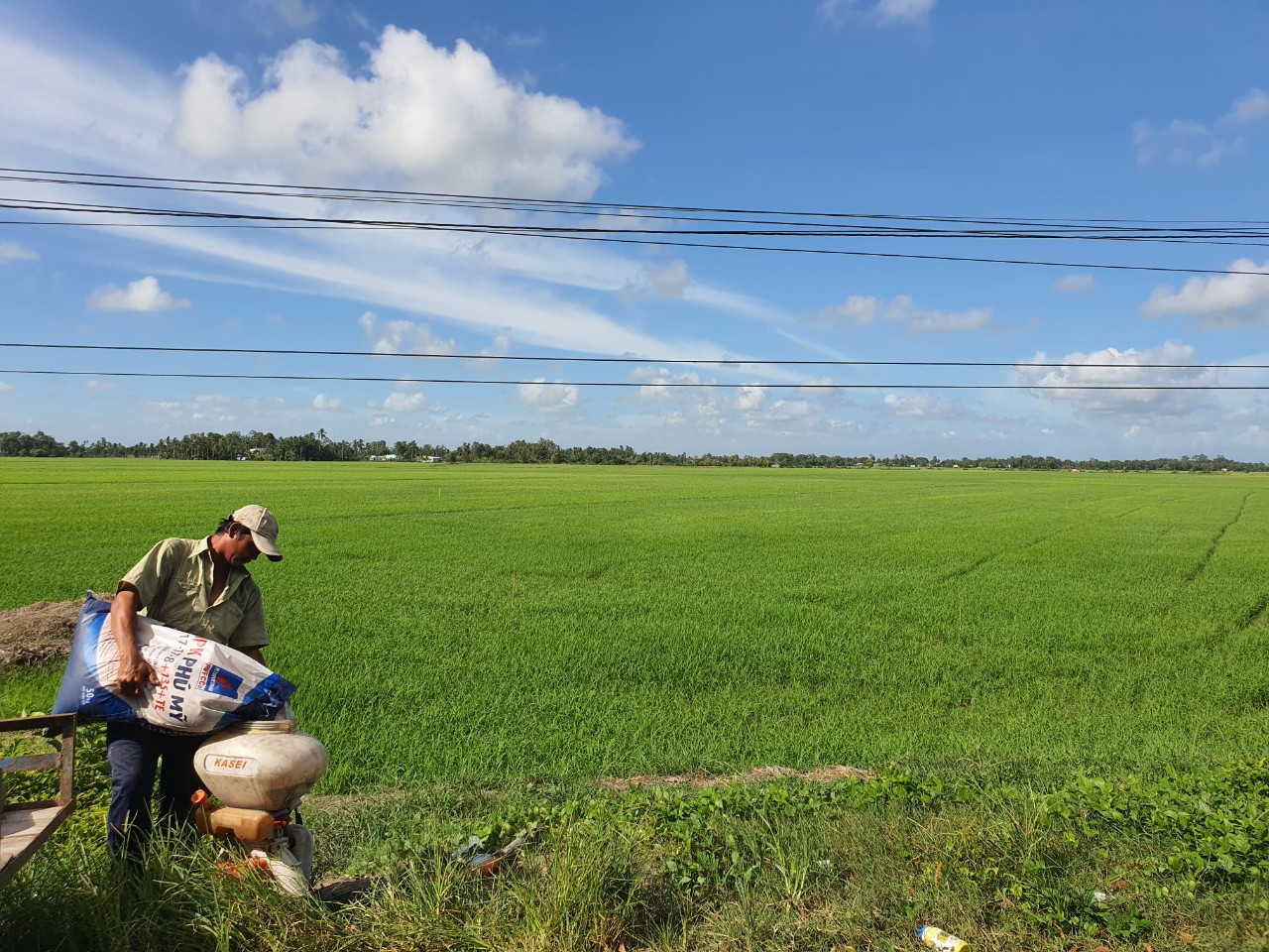 10 năm không được áp thuế GTGT, ngành nông nghiệp, người nông dân và doanh nghiệp sản xuất phải gánh chịu những bất cập này. 