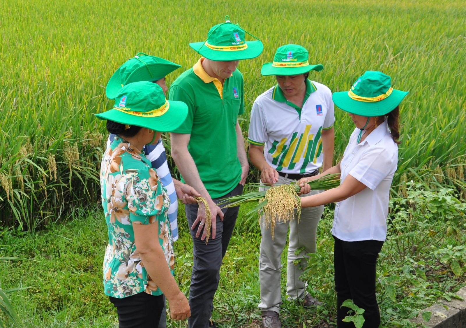 mặt hàng phân bón thuộc đối tượng “không chịu thuế GTGT” theo luật 71. Vì vậy, các doanh nghiệp phân bón không được kê khai, khấu trừ thuế GTGT đầu vào là hàng hoá, dịch vụ, thiết bị máy móc, đầu tư cho sản xuất phân bón.