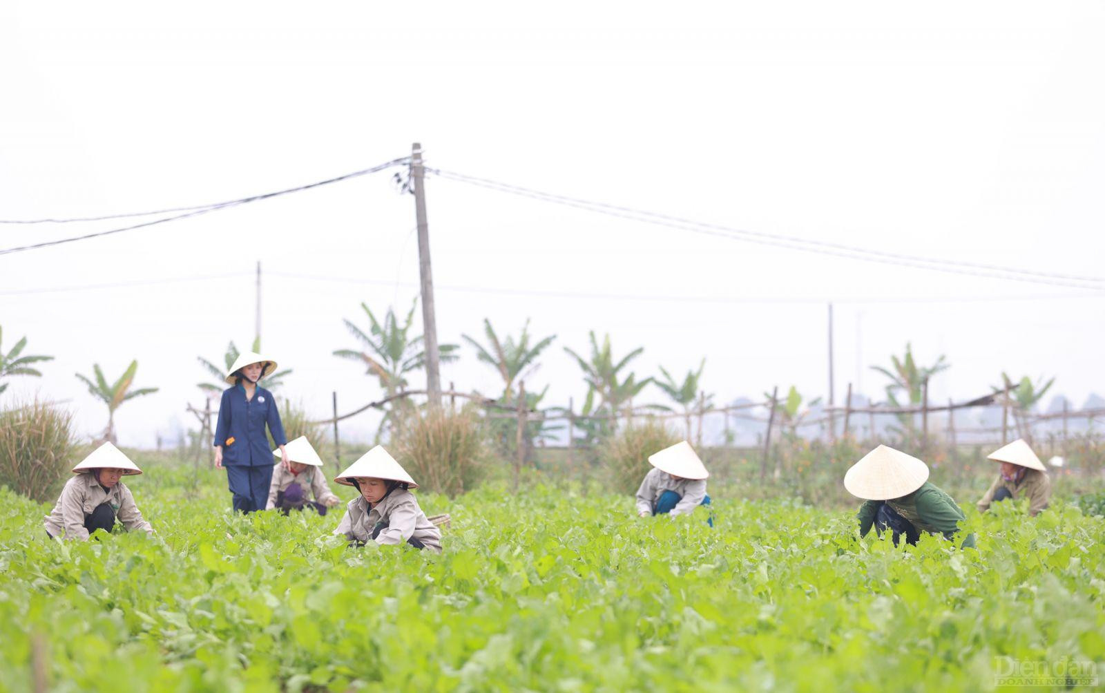 Hoạt động khởi nghiệp đổi mới sáng tạo ở Nghệ An đã có những bước tiến thần tốc, phát triển vượt bật cả về chất lượng lẫn số lượng