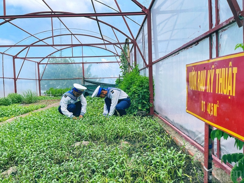 Trên các đảo như: Len Đao, Sinh Tồn Đông, An Bang, Đá Đông C, Đá Tây B, Trường Sa và Nhà giàn DK1/9 đều có những vườn rau xanh tươi mơn mởn cho riêng mình