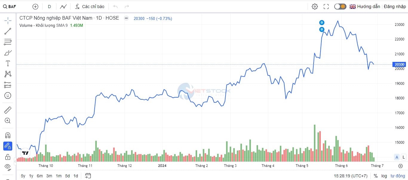 Trên thị trường, cổ phiếu BAF chốt phiên giao dịch ngày 27/6 đạt thị giá 