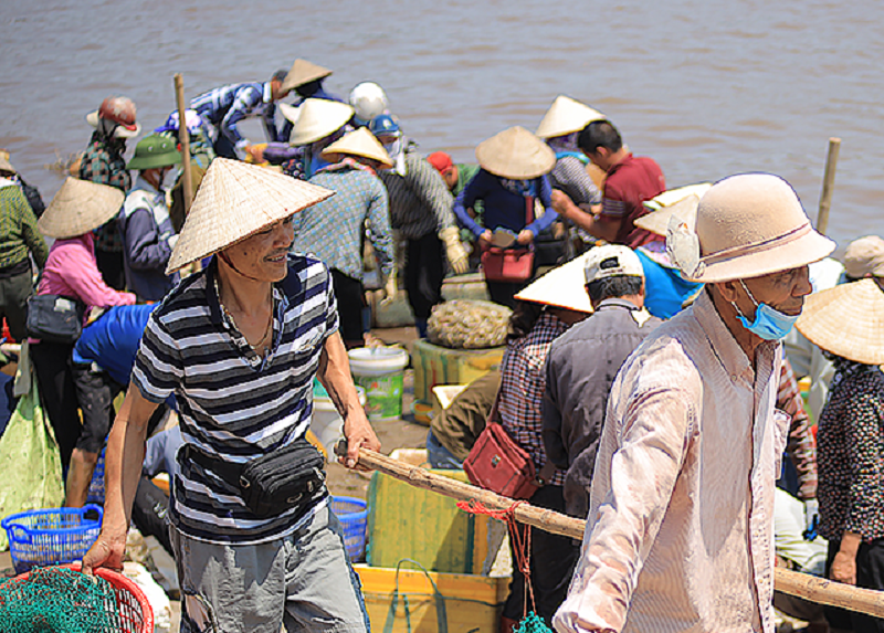 Nhờ định hướng phù hợp và những giải pháp căn cơ, giá trị sản xuất của ngành thủy sản của tỉnh luôn có sự tăng trưởng (Ảnh Báo Nam Định)