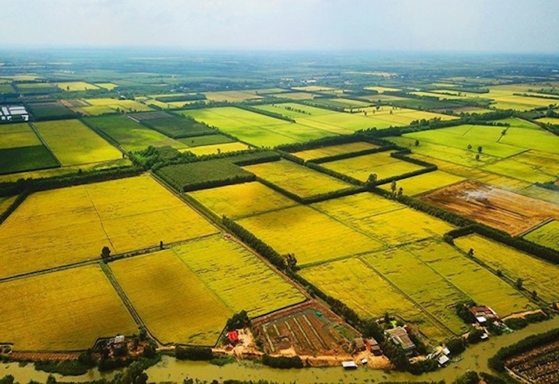 Bộ Tài chính hiện nghiêng về phương án 1