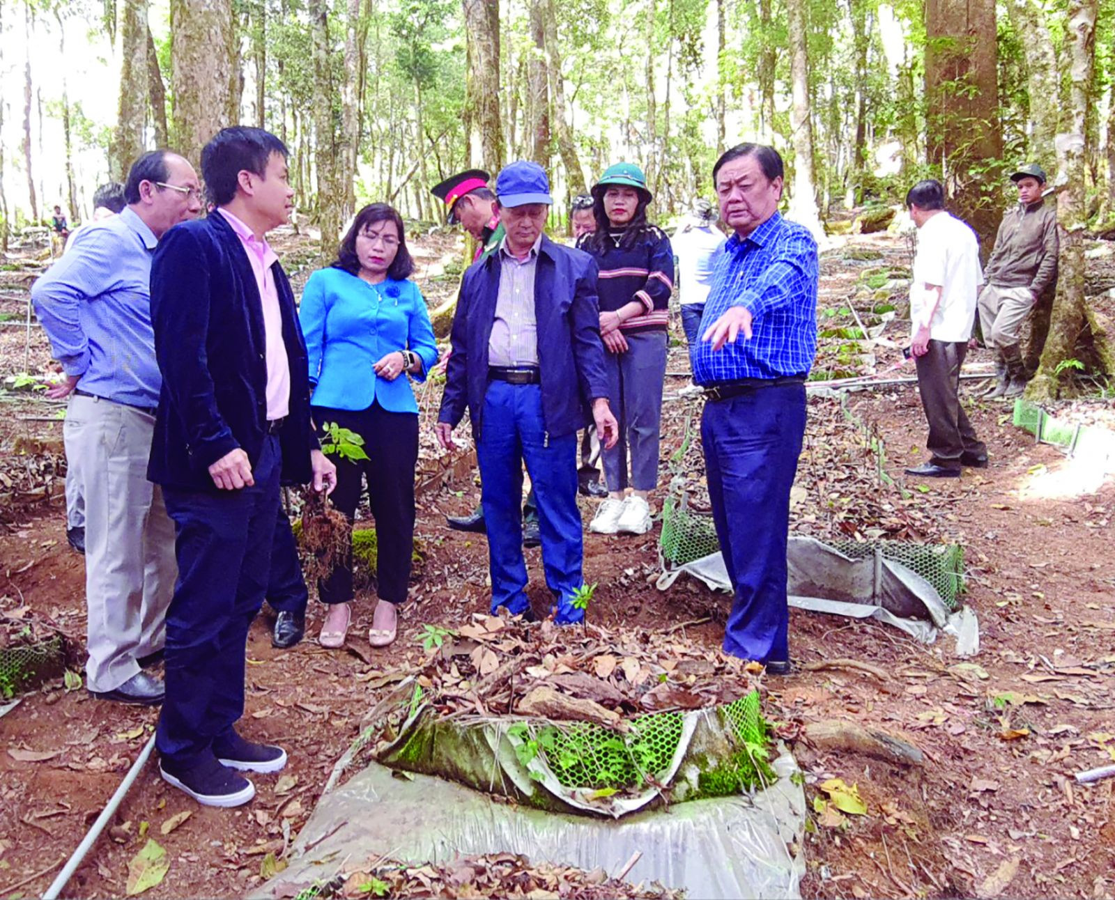  Bộ trưởng Bộ Nông nghiệp và Phát triển nông thôn thăm vườn dược liệu của doanh nghiệp.