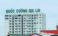 Lãnh đạo bị bắt, cổ phiếu QCG bị bán tháo