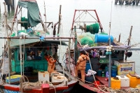 Quảng Ninh: Mạnh tay loại bỏ 