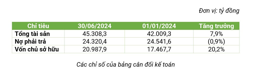 Các chỉ số của bảng cân đối kế toán