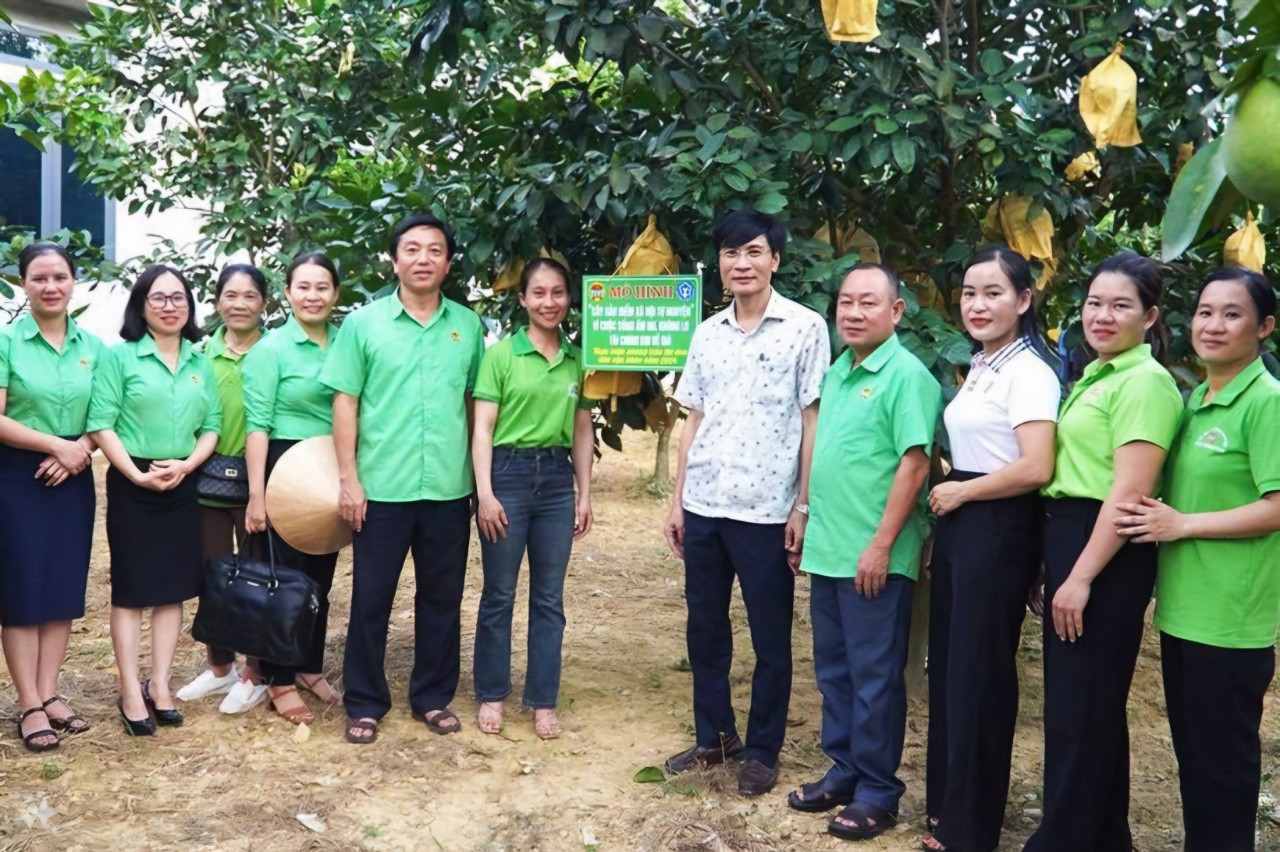 Đầu tháng 6/2024, Hội Nông dân Hương Khê thí điểm mô hình cây BHXH, BHYT gắn với câu lạc bộ nông dân hướng tới có lương hưu tại xã Hương Trạch.