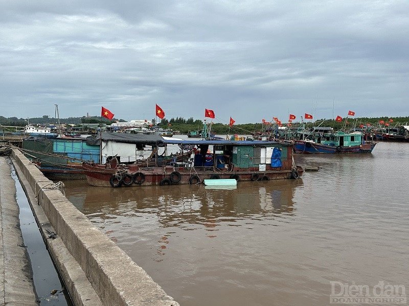 Khu vực cảng cá Ngọc Hải, TP Hải Phòng