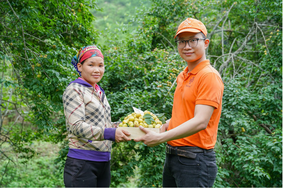 anh vung nguyen lieu