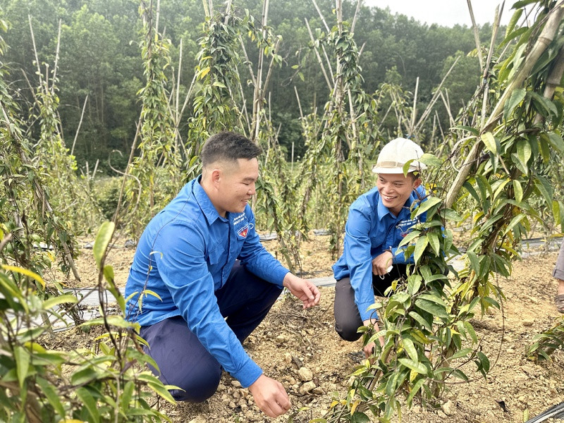 Tạo môi trường hỗ trợ thanh niên khởi nghiệp 