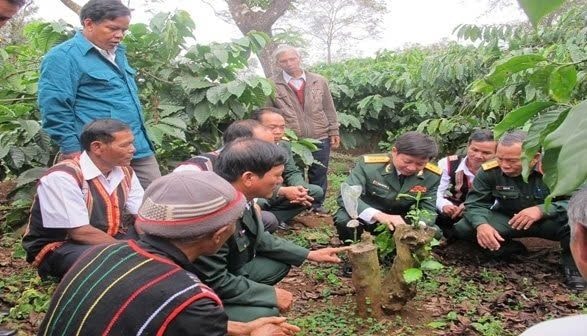 Tỏa sáng hình ảnh người lính Cà phê 15