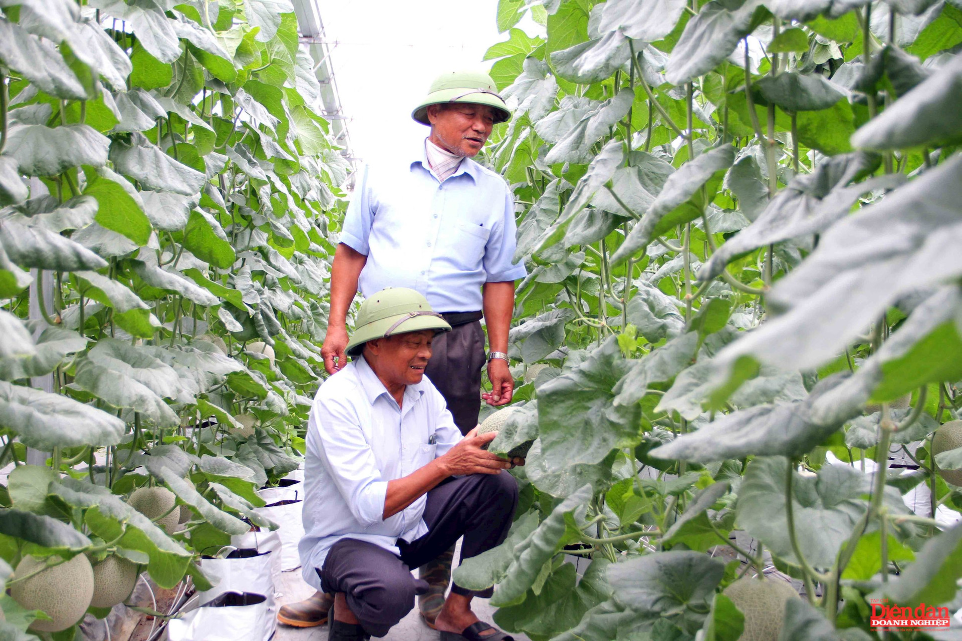 HTX Tân Minh Đức