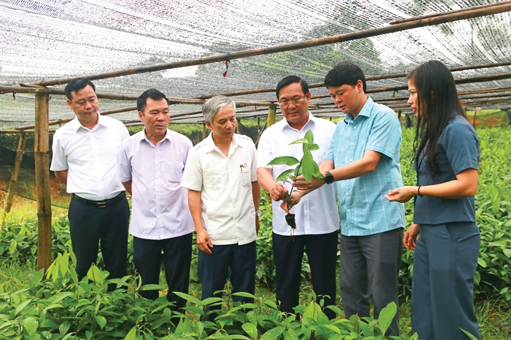 huyện Định Hóa dành nhiều nguồn lực để hỗ trợ người dân về giống và kỹ thuật trồng 2