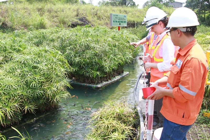 Các khu vực bảo vệ môi trường tại mỏ Núi Pháo (1)