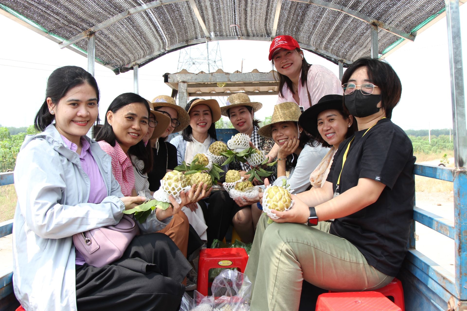 Tour du lịch nông nghiệp tham quan vườn mãng cầu- đặc sản của Tây Ninh