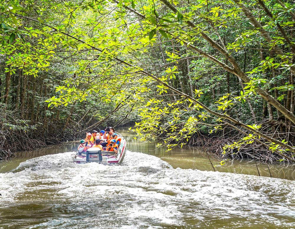 1- Khám phá tour xuyên rừng Vườn Quốc gia Mũi Cà Mau bằng ca nô