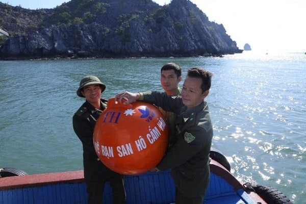 Khi san hô “kêu cứu”: Tập đoàn TH tiên phong, cùng phục hồi thiên nhiên