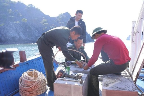Khi san hô “kêu cứu”: Tập đoàn TH tiên phong, cùng phục hồi thiên nhiên