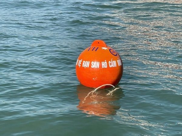 Khi san hô “kêu cứu”: Tập đoàn TH tiên phong, cùng phục hồi thiên nhiên