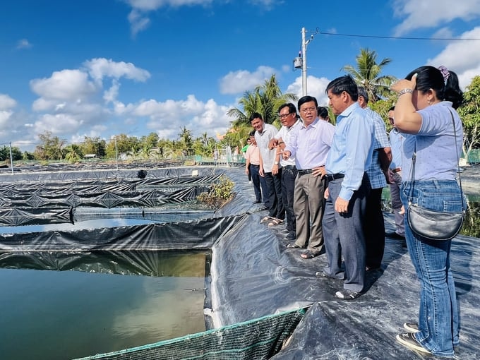 Bí thư Tỉnh ủy Cà Mau Nguyễn Tiến Hải cùng Phó Chủ tịch UBND tỉnh Lê Văn Sử khảo sát thực tế hình nuôi tôm công nghệ tuần hoàn, siêu ttại hộ ông Huỳnh Thái Nguyên, ấp Rau Dừa B, xã Hưng Mỹ, huyện Cái Nước.