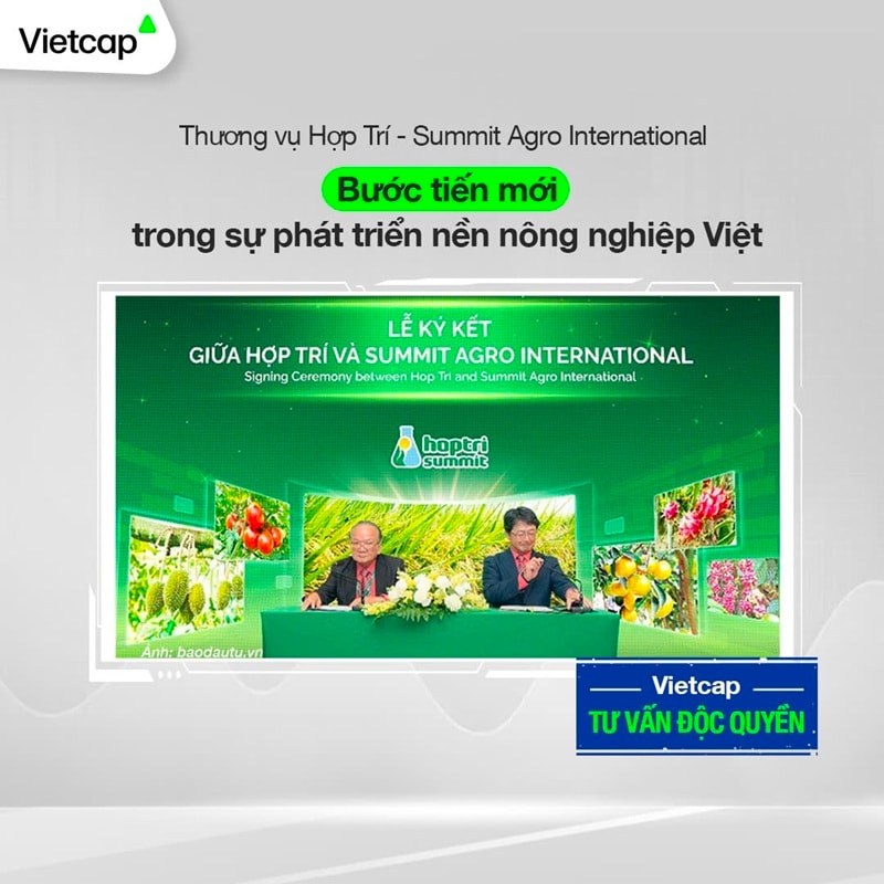 Vietcap 2