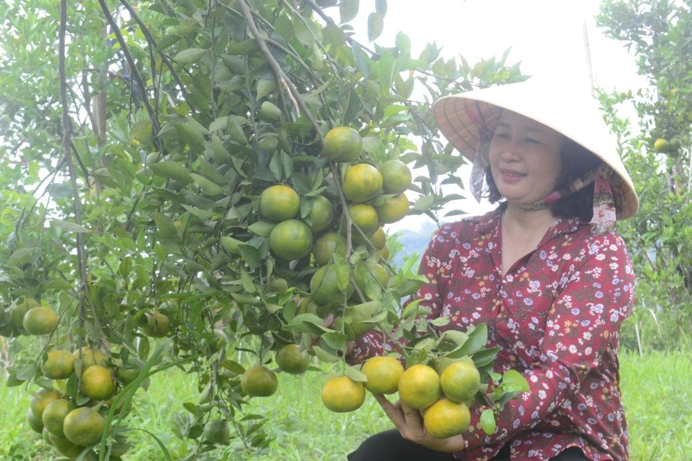 Đắk Nông phát huy vai trò của phụ nữ trong giảm nghèo