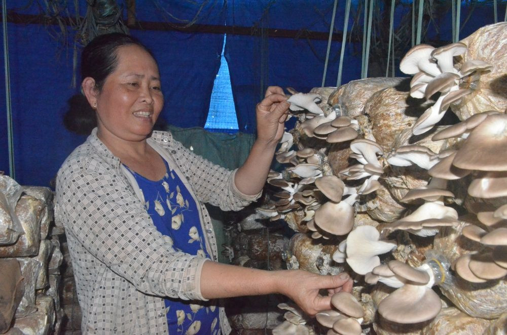 Đắk Nông phát huy vai trò của phụ nữ trong giảm nghèo