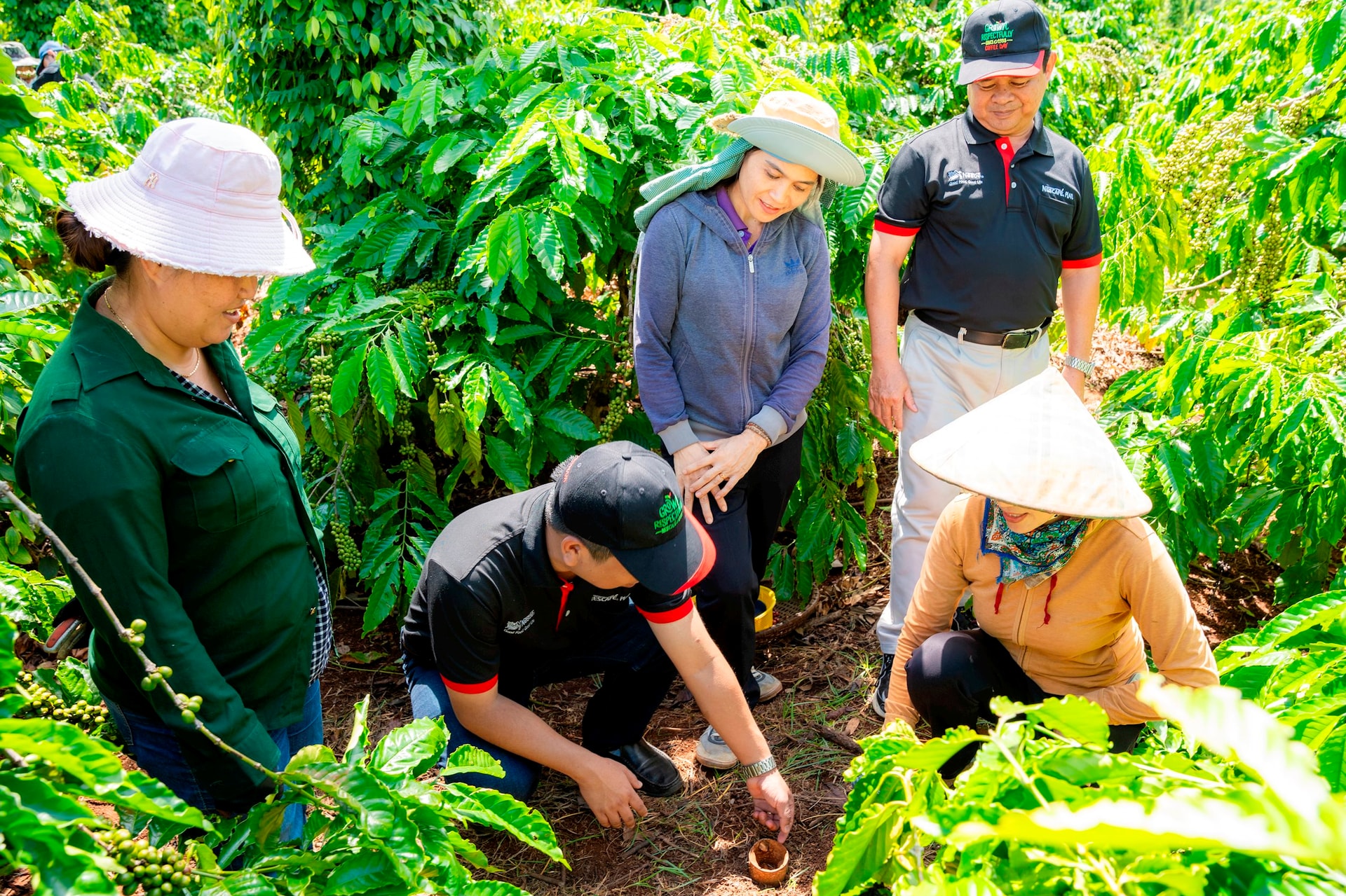 Cán bộ hỗ trợ nông nghiệp của Nestlé Việt Nam hướng dẫn nông dân trồng cà phê thực hành canh tác nông nghiệp tái sinh