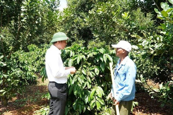 Nhiều mô hình, cách làm hay giảm nghèo ở Đắk Nông