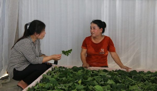 Nhiều mô hình, cách làm hay giảm nghèo ở Đắk Nông