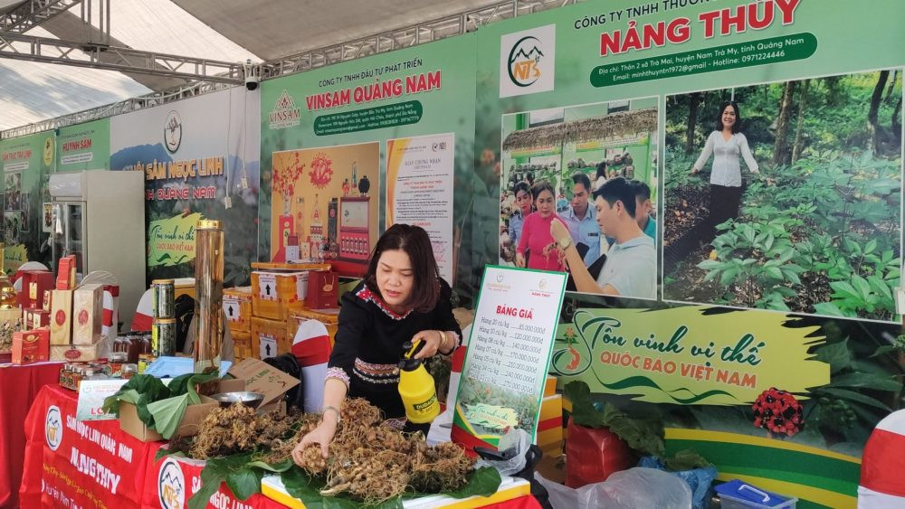 Quảng bá, kết nối giao thương sản phẩm miền núi tỉnh Quảng Nam tại thành phố Hà Nội Quảng bá, kết nối giao thương sản phẩm miền núi tỉnh Quảng Nam tại thành phố Hà Nội