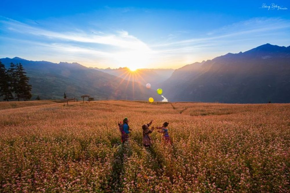 Thảo nguyên Suôi Thầu – Điểm đến lý tưởng nơi miền tây Hà Giang