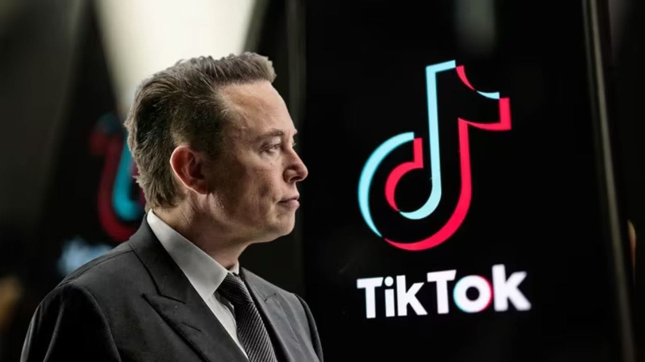 Elon Musk và một nhóm tỷ phú Mỹ - được cho là muốn mua tại Tiktok (Ảnh Daily Post)