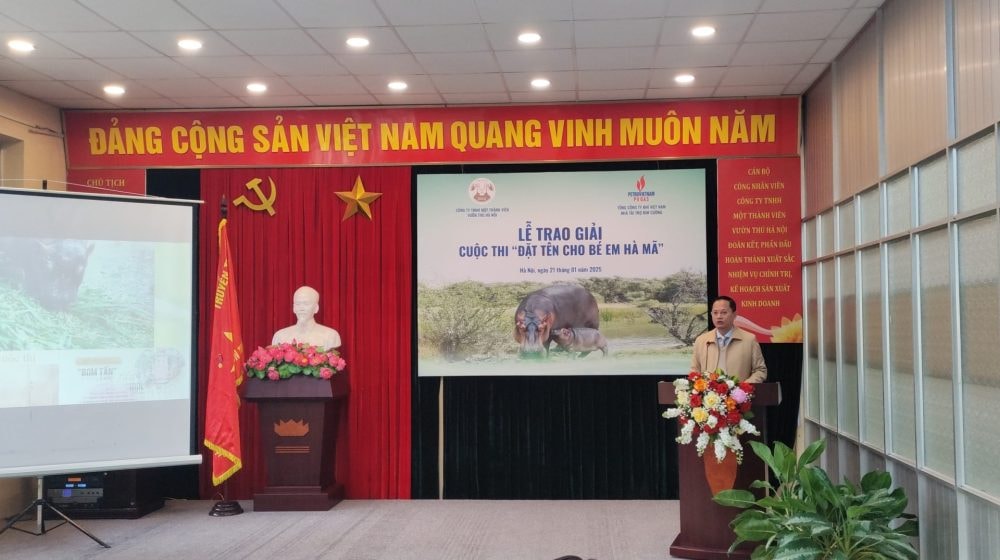 Chú Hà Mã đầu tiên sinh ra ở Vườn thú Hà Nội có tên khai sinh Mã Nam Chú Hà Mã đầu tiên sinh ra ở Vườn thú Hà Nội có tên khai sinh Mã Nam