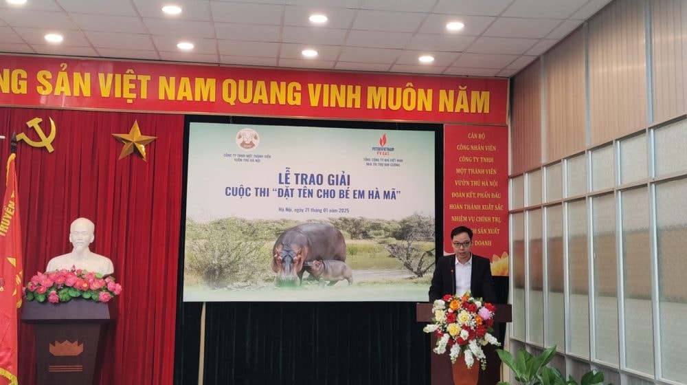 Chú Hà Mã đầu tiên sinh ra ở Vườn thú Hà Nội có tên khai sinh Mã Nam Chú Hà Mã đầu tiên sinh ra ở Vườn thú Hà Nội có tên khai sinh Mã Nam