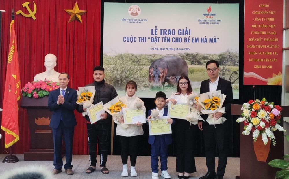 Chú Hà Mã đầu tiên sinh ra ở Vườn thú Hà Nội có tên khai sinh Mã Nam Chú Hà Mã đầu tiên sinh ra ở Vườn thú Hà Nội có tên khai sinh Mã Nam