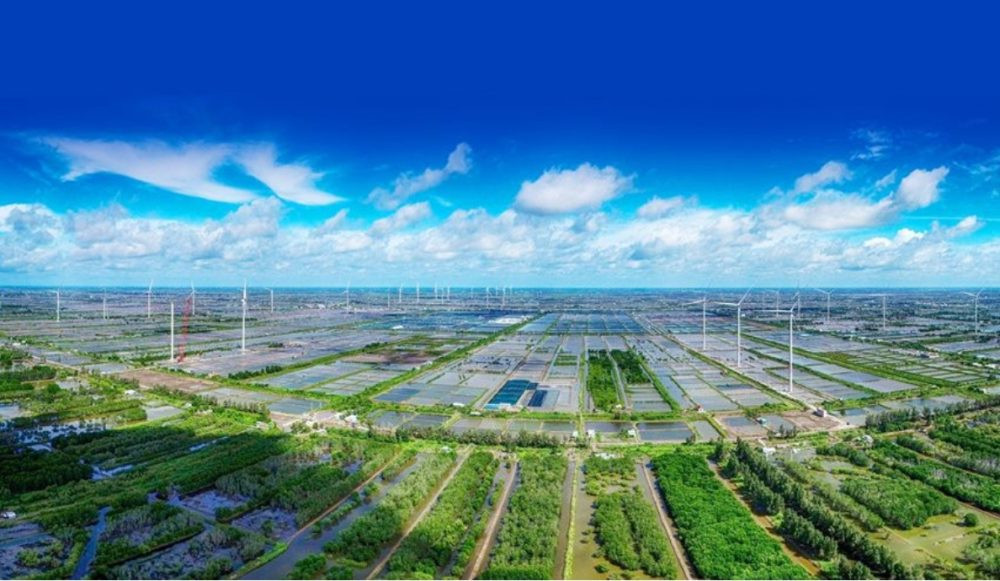 Khung pháp lý cho cơ chế giao dịch trên thị trường tín chỉ carbon