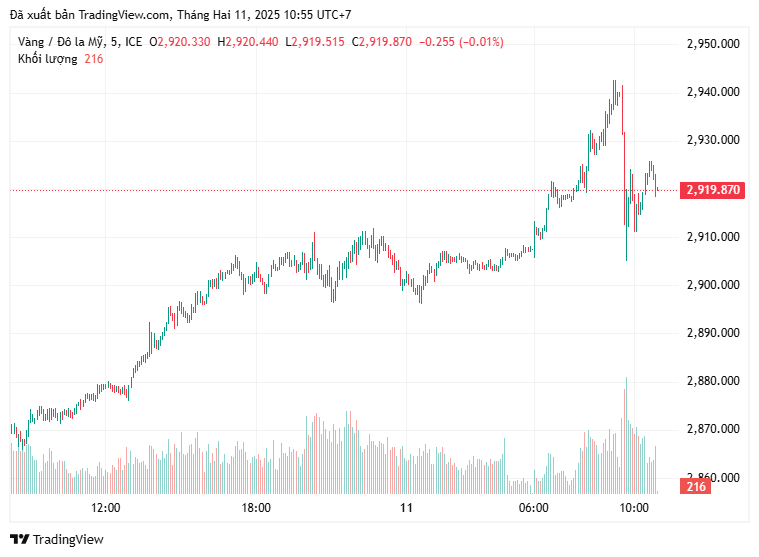 xauusd_2025-02-11_10-55-17.png