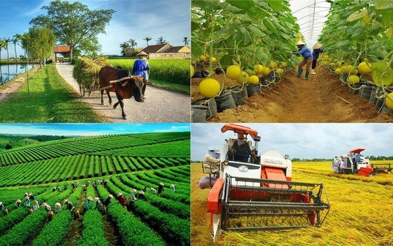 Thống kê, biên soạn số liệu GDP kinh tế tập thể Thống kê, biên soạn số liệu GDP kinh tế tập thể