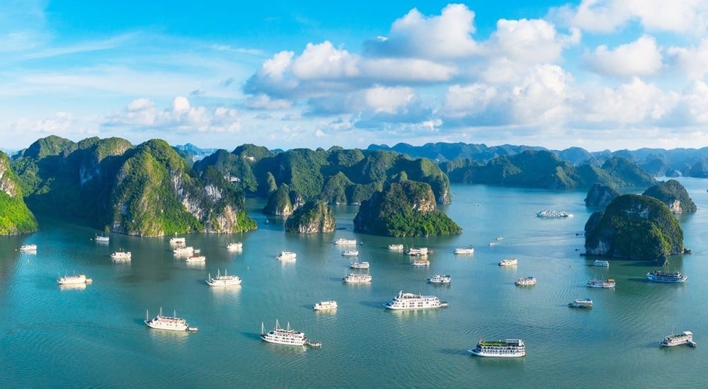 Chương trình Nghệ thuật vì khí hậu tại Di sản Thiên nhiên thế giới vịnh Hạ Long