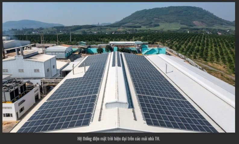 TH đạt chứng nhận quốc tế trung hòa carbon của Control Union TH đạt chứng nhận quốc tế trung hòa carbon của Control Union
